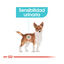 85 g Royal Canin Urinary Care paté sobre para perros, , large indicador imagen numero 4